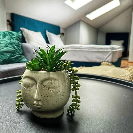 The Secret Garden Pensjonat 4*